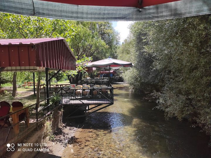 Alinin Yeri Et Ve Canlı Alabalık