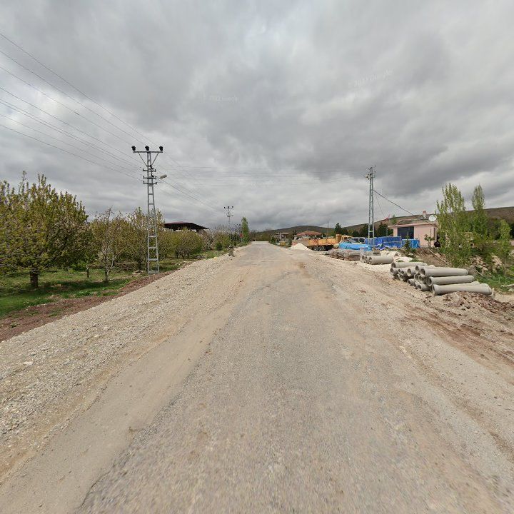 Fotoğraf 8