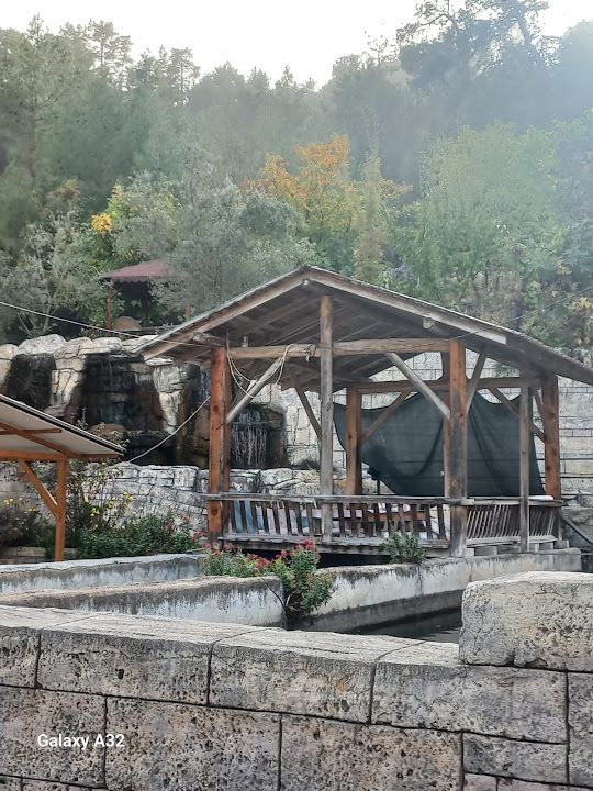 Mınak Doğal Su Alabalık