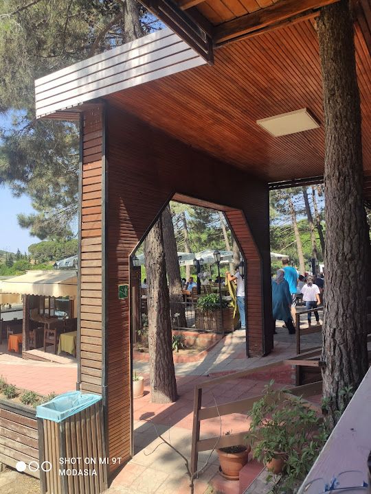 Yorum fotoğrafı 3