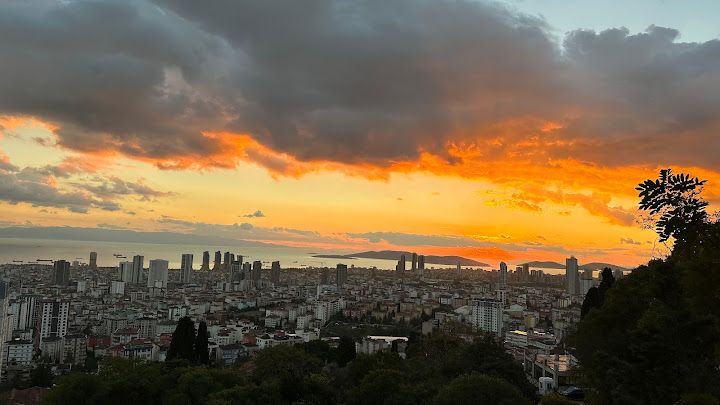 Fotoğraf 28