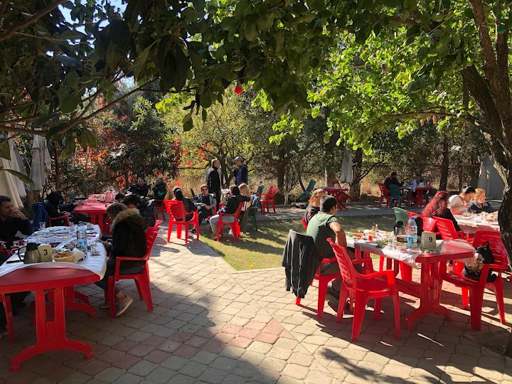Fotoğraf 36