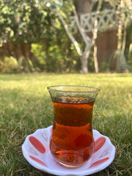 Fotoğraf 43