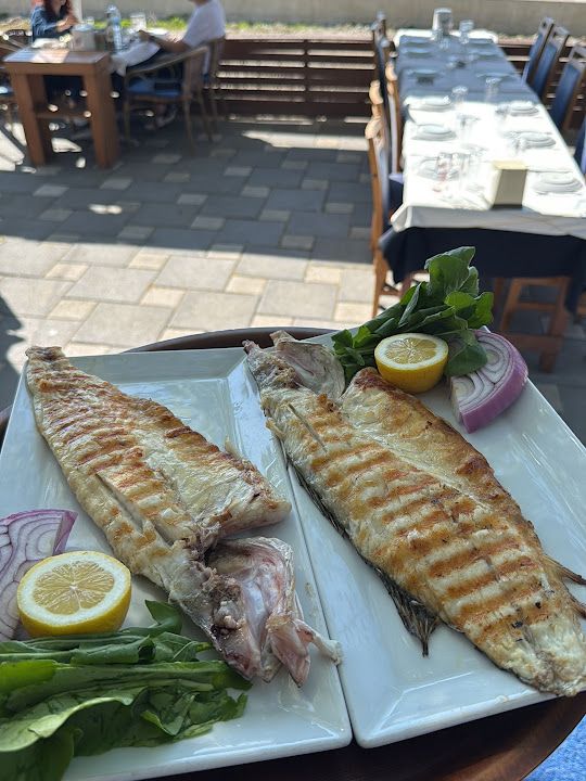 Fotoğraf 31