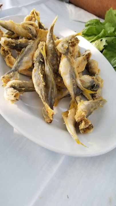 Fotoğraf 25
