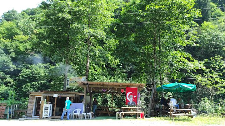 Alin'in Yeri