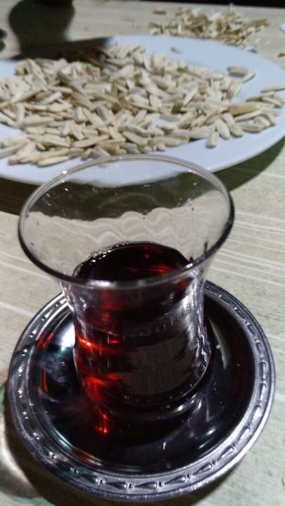 Fotoğraf 19