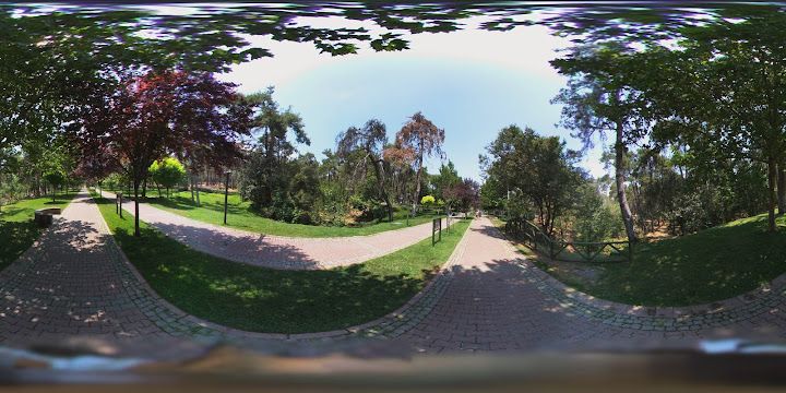 Fotoğraf 23