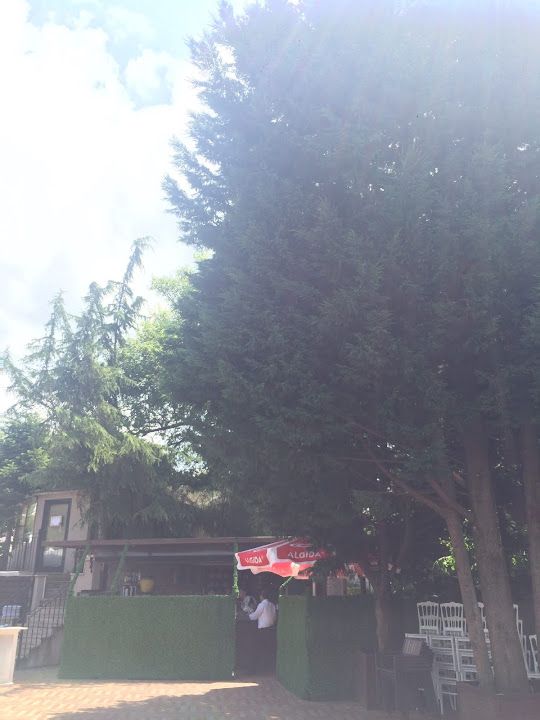 Fotoğraf 49