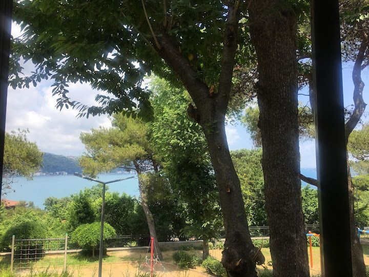 Fotoğraf 54