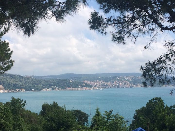 Fotoğraf 50