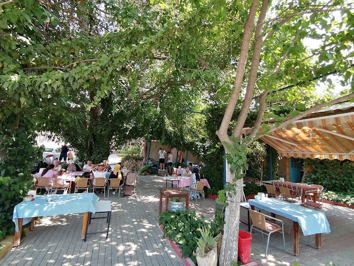 Fotoğraf 26