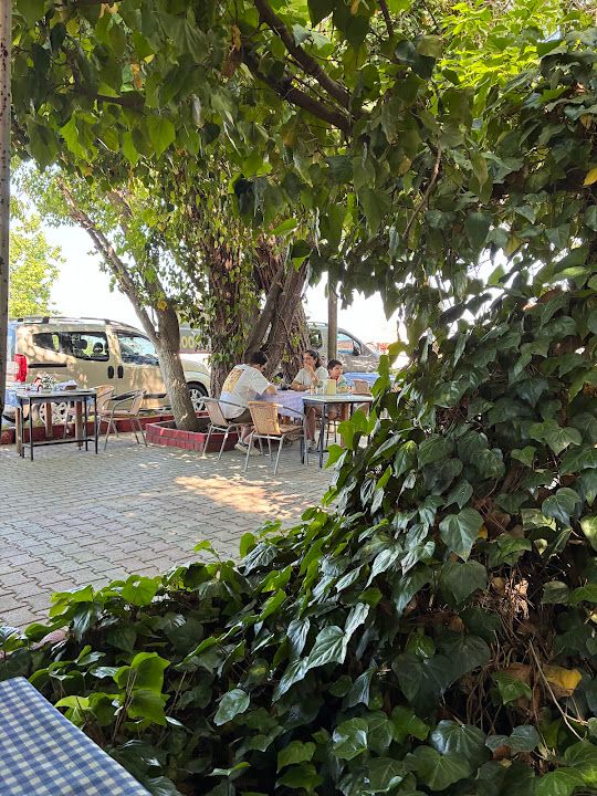 Yorum fotoğrafı 3