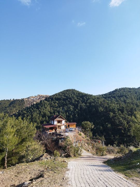 Yorum fotoğrafı 2