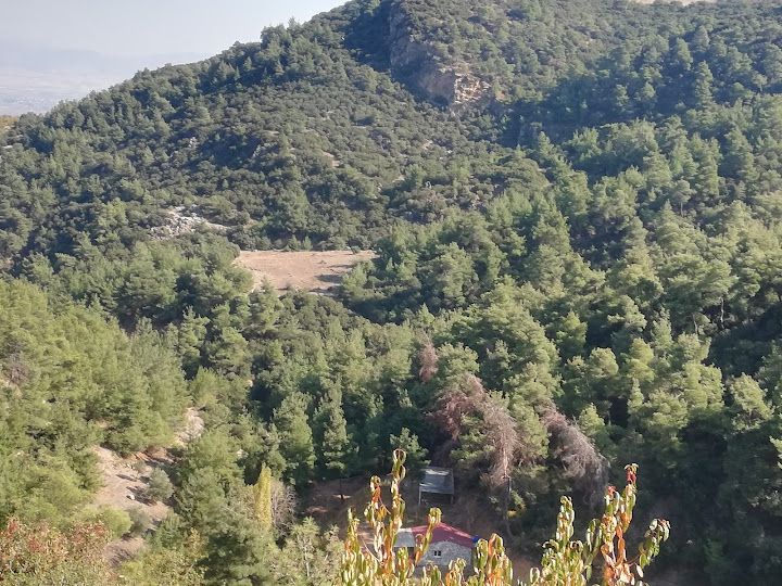 Yorum fotoğrafı 3