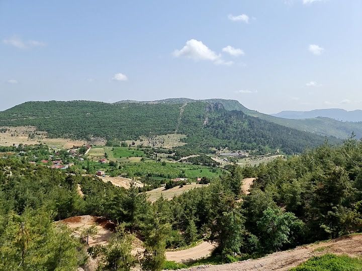 Fotoğraf 3