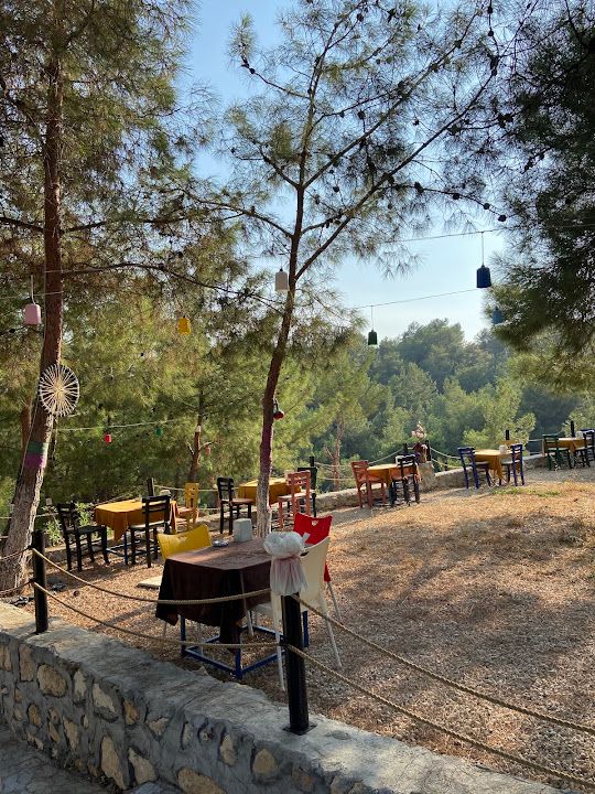 Yorum fotoğrafı 4