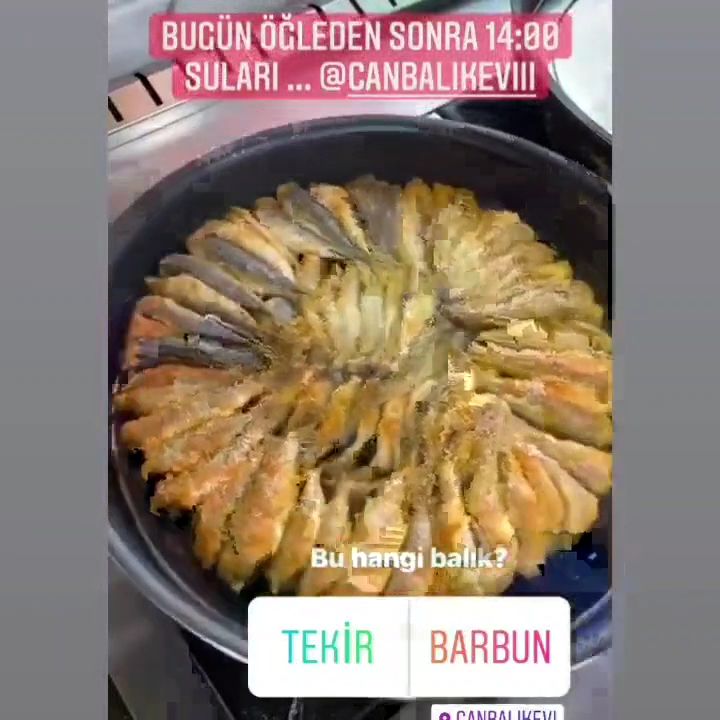 Fotoğraf 15