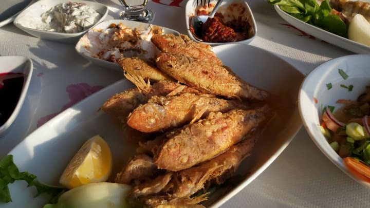 Fotoğraf 42