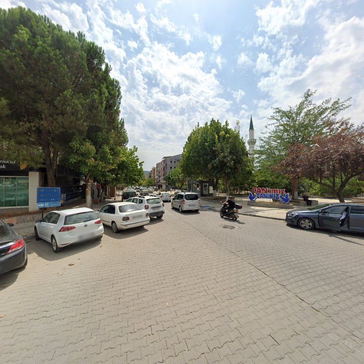 Fotoğraf 4