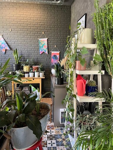 Yorum fotoğrafı 7