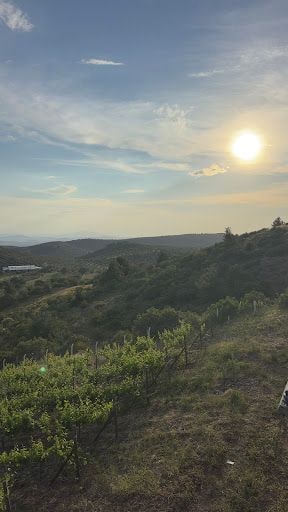 Yorum fotoğrafı 5
