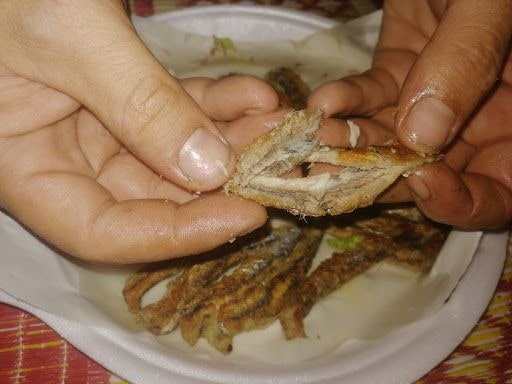 Yorum fotoğrafı 5