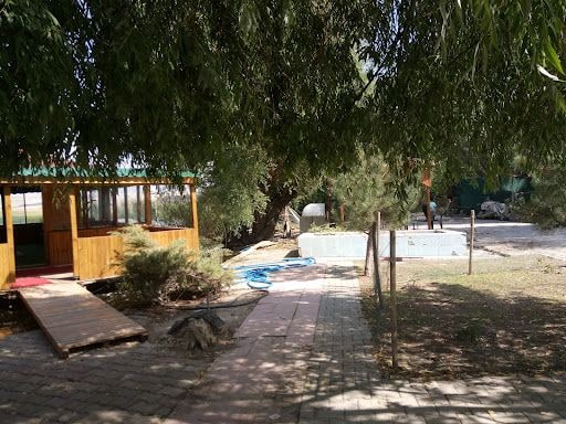 Yorum fotoğrafı 10
