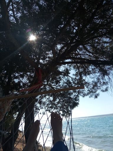 Fotoğraf 26