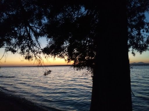Fotoğraf 27