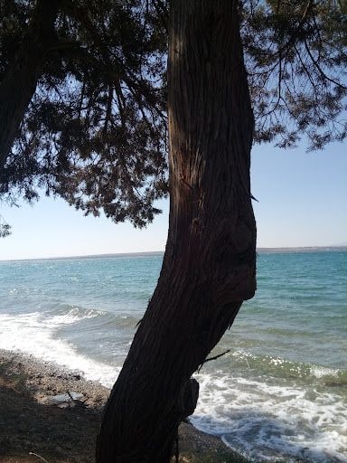 Fotoğraf 29