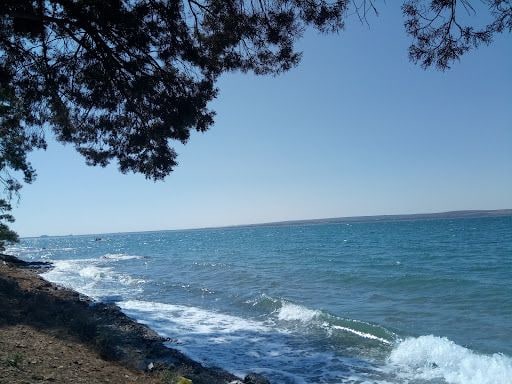Fotoğraf 31