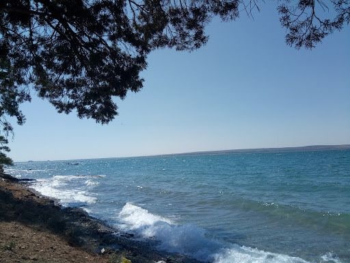 Fotoğraf 32