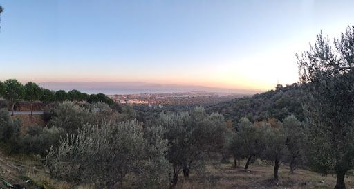 Fotoğraf 22
