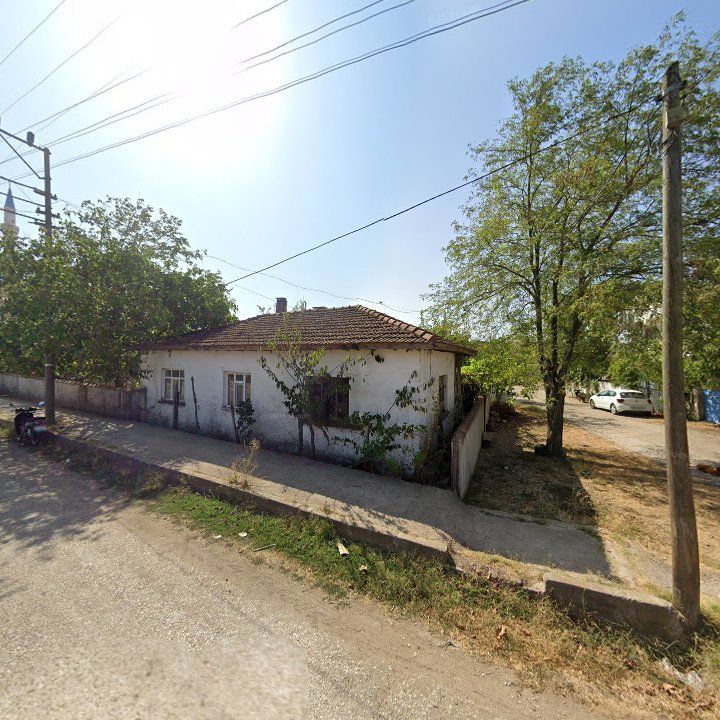 Fotoğraf 3