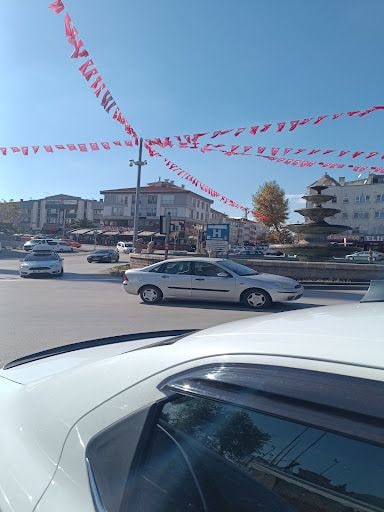 Fotoğraf 14
