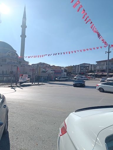 Fotoğraf 15