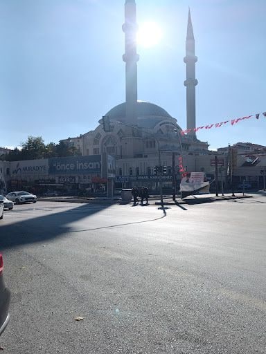 Fotoğraf 16