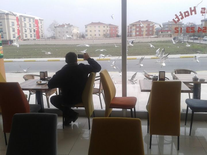 Fotoğraf 11