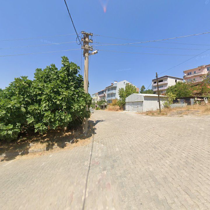 Fotoğraf 2