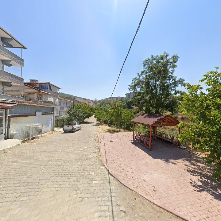 Fotoğraf 4