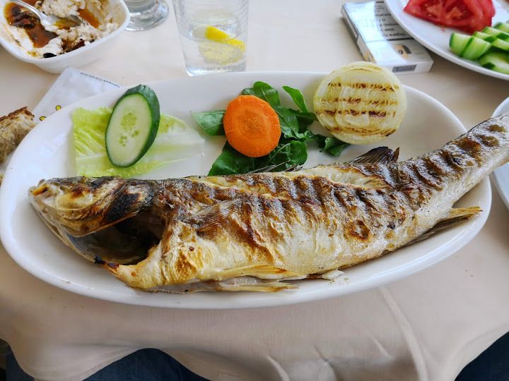 Fotoğraf 24