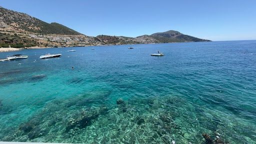 Yorum fotoğrafı 5