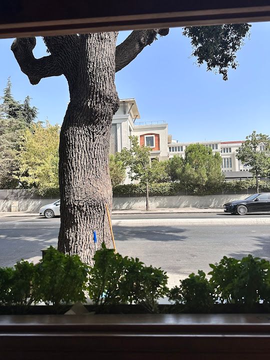 Fotoğraf 77