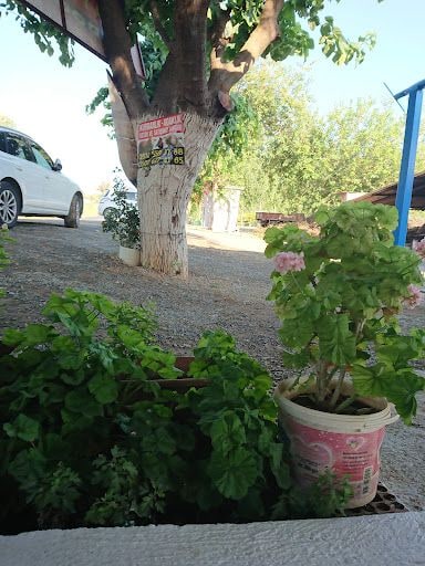 Fotoğraf 20
