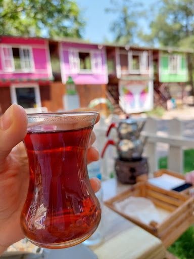 Fotoğraf 14