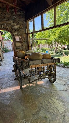 Fotoğraf 45
