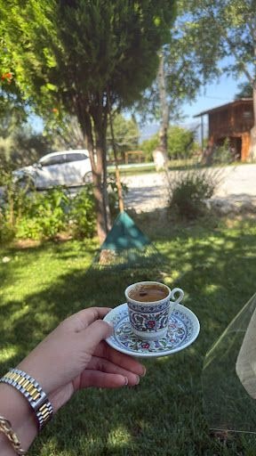 Fotoğraf 48