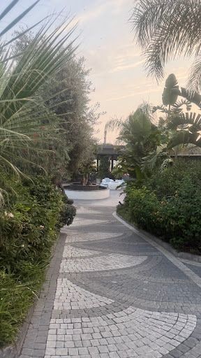 Fotoğraf 25
