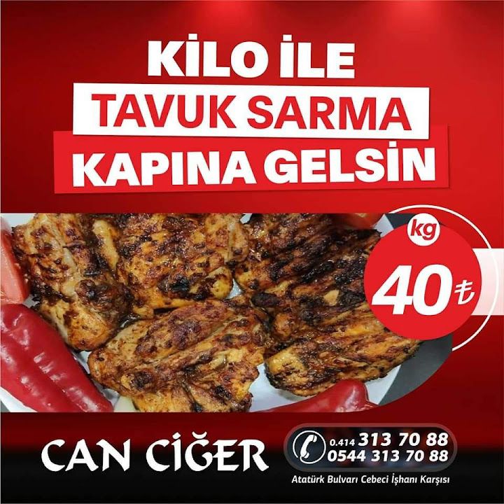 Fotoğraf 13